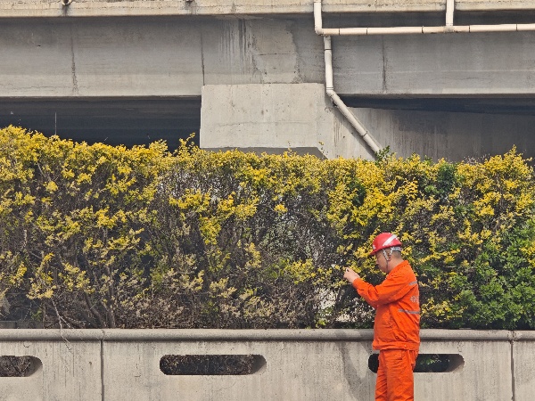 mmexport1744338051629_副本.jpg mmexport1744338051629_副本.jpg