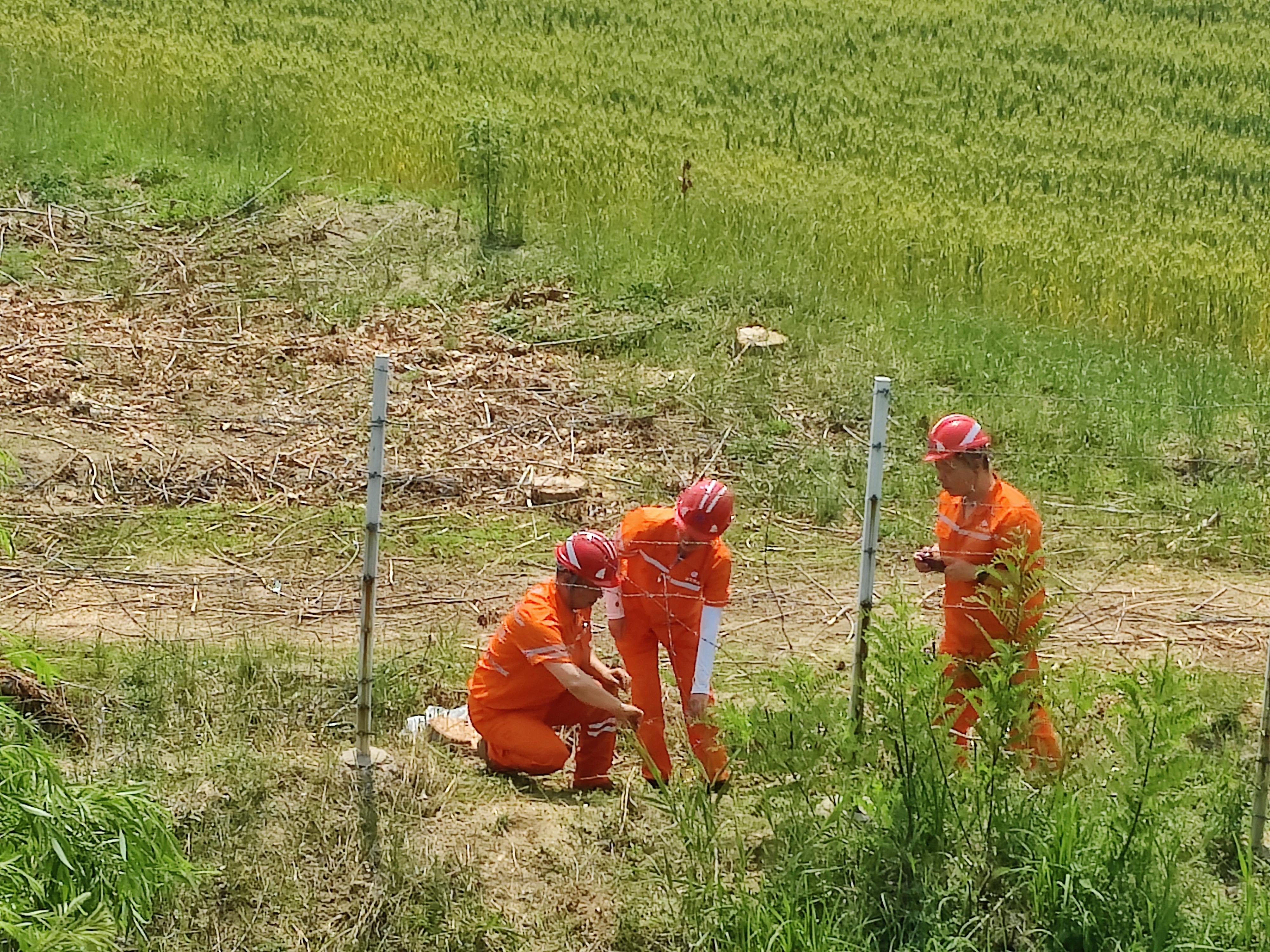 951b582aa58c886df9550c6c28b02de.jpg 951b582aa58c886df9550c6c28b02de.jpg